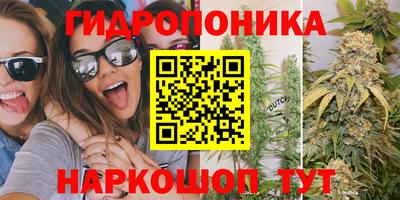 прущие грибы Славянск-на-Кубани