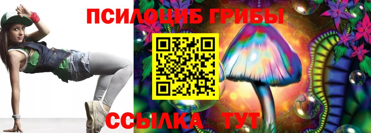 Галлюциногенные грибы прущие грибы Таганрог