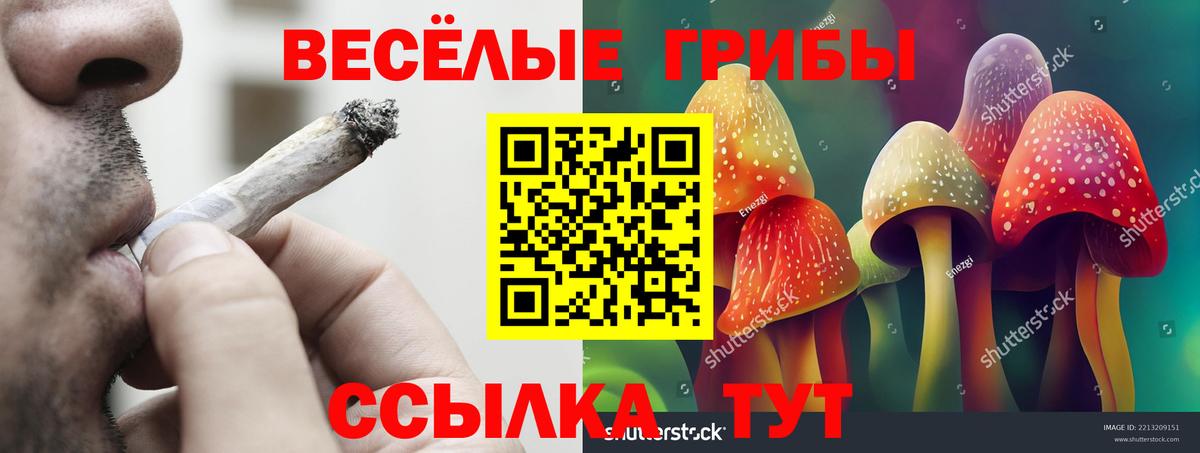 Галлюциногенные грибы GOLDEN TEACHER  Псилоцибиновые грибы Cubensis  Таганрог  Вход с VPN 